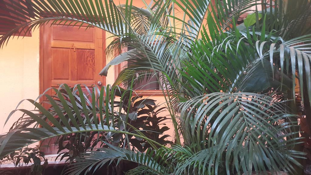 Hotel El Maltese Granada Eksteriør bilde